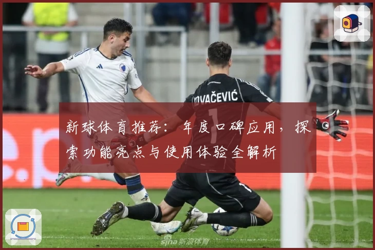 新球体育推荐：年度口碑应用，探索功能亮点与使用体验全解析