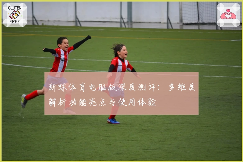 新球体育电脑版深度测评：多维度解析功能亮点与使用体验
