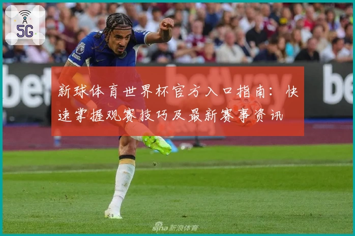 新球体育世界杯官方入口指南：快速掌握观赛技巧及最新赛事资讯