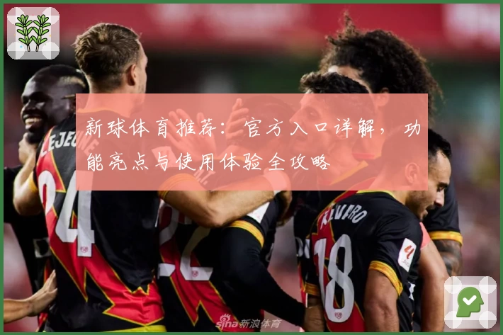 新球体育推荐：官方入口详解，功能亮点与使用体验全攻略