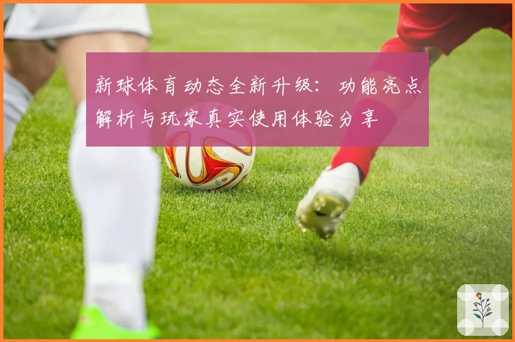 新球体育动态全新升级：功能亮点解析与玩家真实使用体验分享